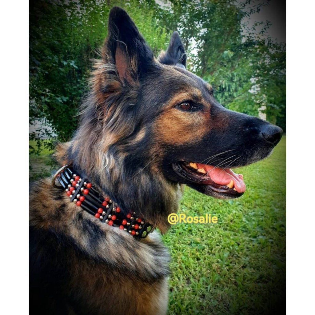 Hundehalsband aus Vollrindleder fr groe Hunde im indianischem Stil, 4cm  breit, Trkis oder Koralle, Maanfertigung