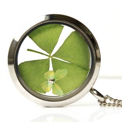 Kette Kleeblatt silber Schmetterling Edelstahl Glück Prüfung Einzug Geschenk