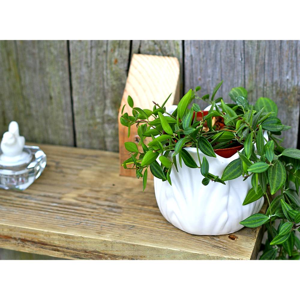 Wandregal aus Palette, Wohndeko, Wandschmuck, Palettenmöbel, einzigartig, Holz, Wohndeko, Holzregal, Palettenholz Regal, Bild 4