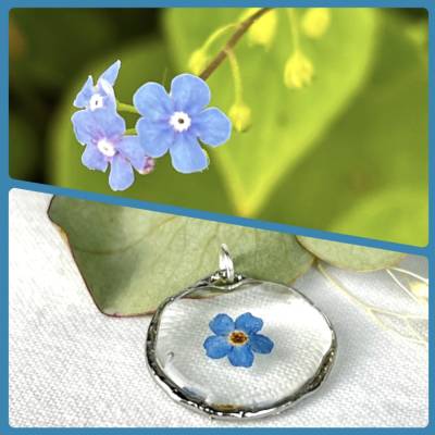 Vergissmeinnicht feiner silberfarbener Anhänger mit echter Blüte , Resin , Blumenschmuck,Lünette