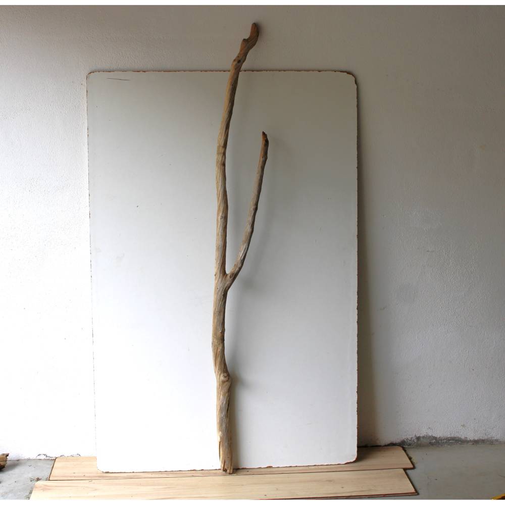Treibholz Schwemmholz Driftwood 1MEGA Ast Dekoration Garten Lampe Garderobe 168 cm
