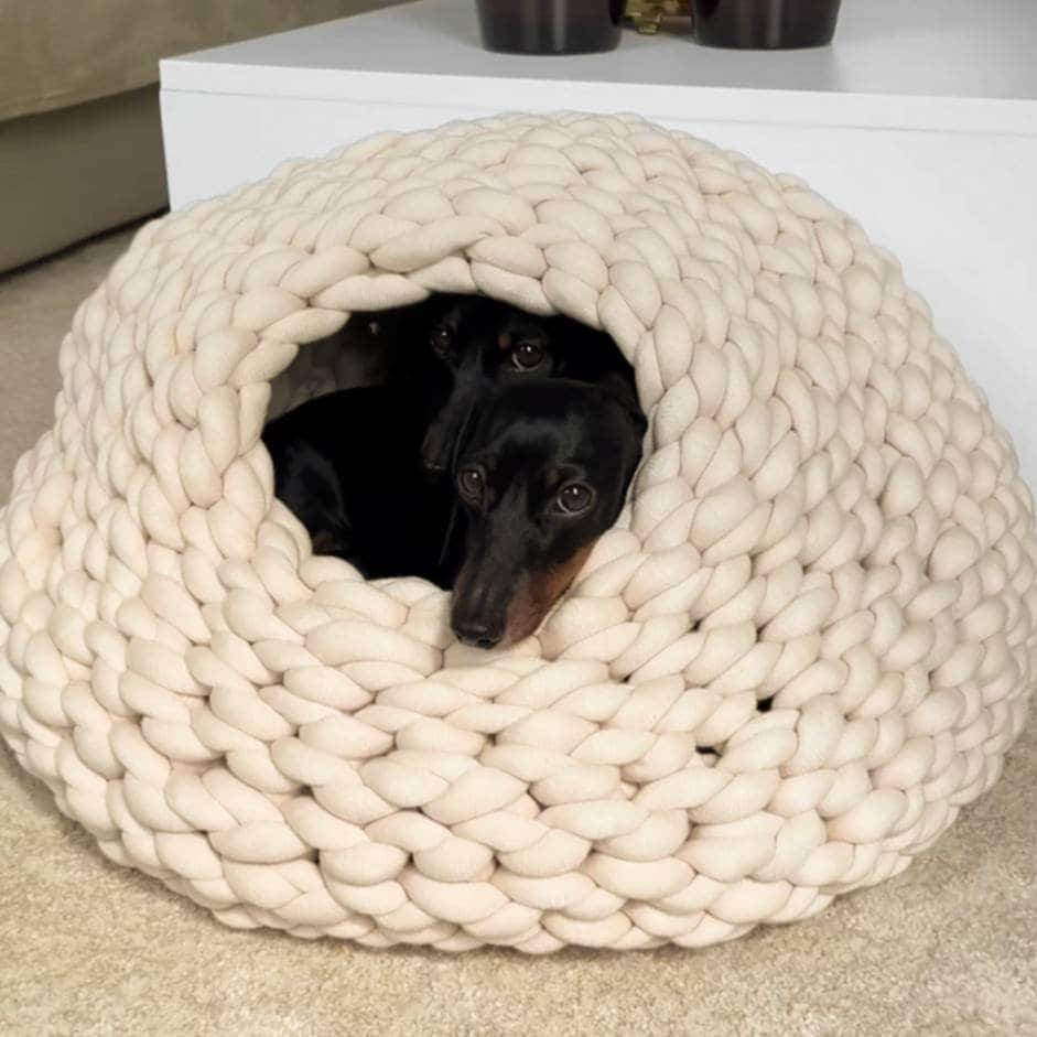 Hundehöhle  Emma aus XXL Garn I Hundekorb I Höhle für kleinere Hunde I Hundekörbchen Bild 2