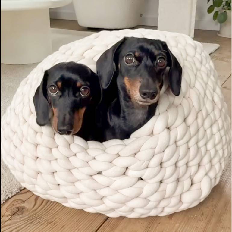 Hundehöhle  Emma aus XXL Garn I Hundekorb I Höhle für kleinere Hunde I Hundekörbchen Bild 3