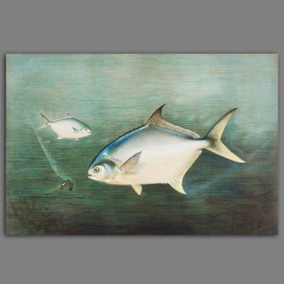 Leinwandbild Retro Druck Zwei Fische und eine Garnele im Meer nach einem alten Gemälde Vintage 1880 
