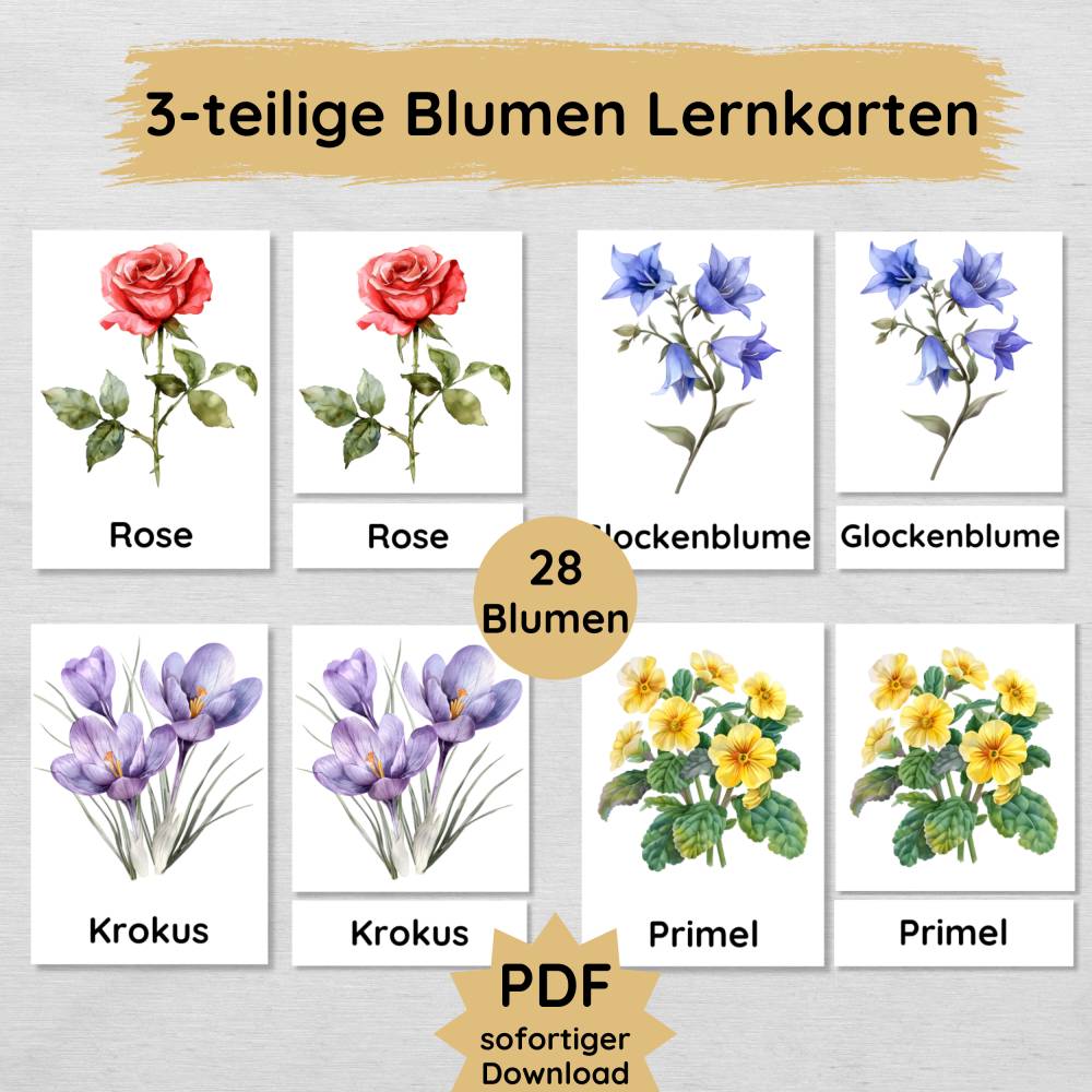 langzeitdünger zimmerpflanzen Zimmerpflanzen Dünger, Monstera Dünger, 6 Monate Depotwirkung – PlantMe main image 0
