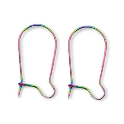 2 Kidney- Ohrhaken, 10x21mm, Edelstahl Regenbogenfarben