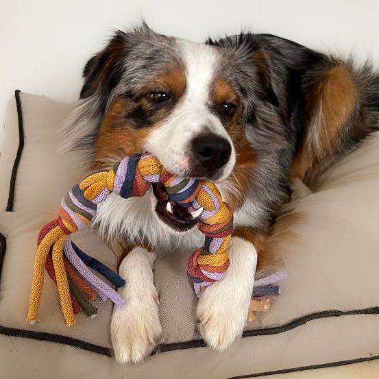 hundebett gre HAY Dogs Bed Hundebett Gre L large waschbar fr groe Hunde Schwadke Shop