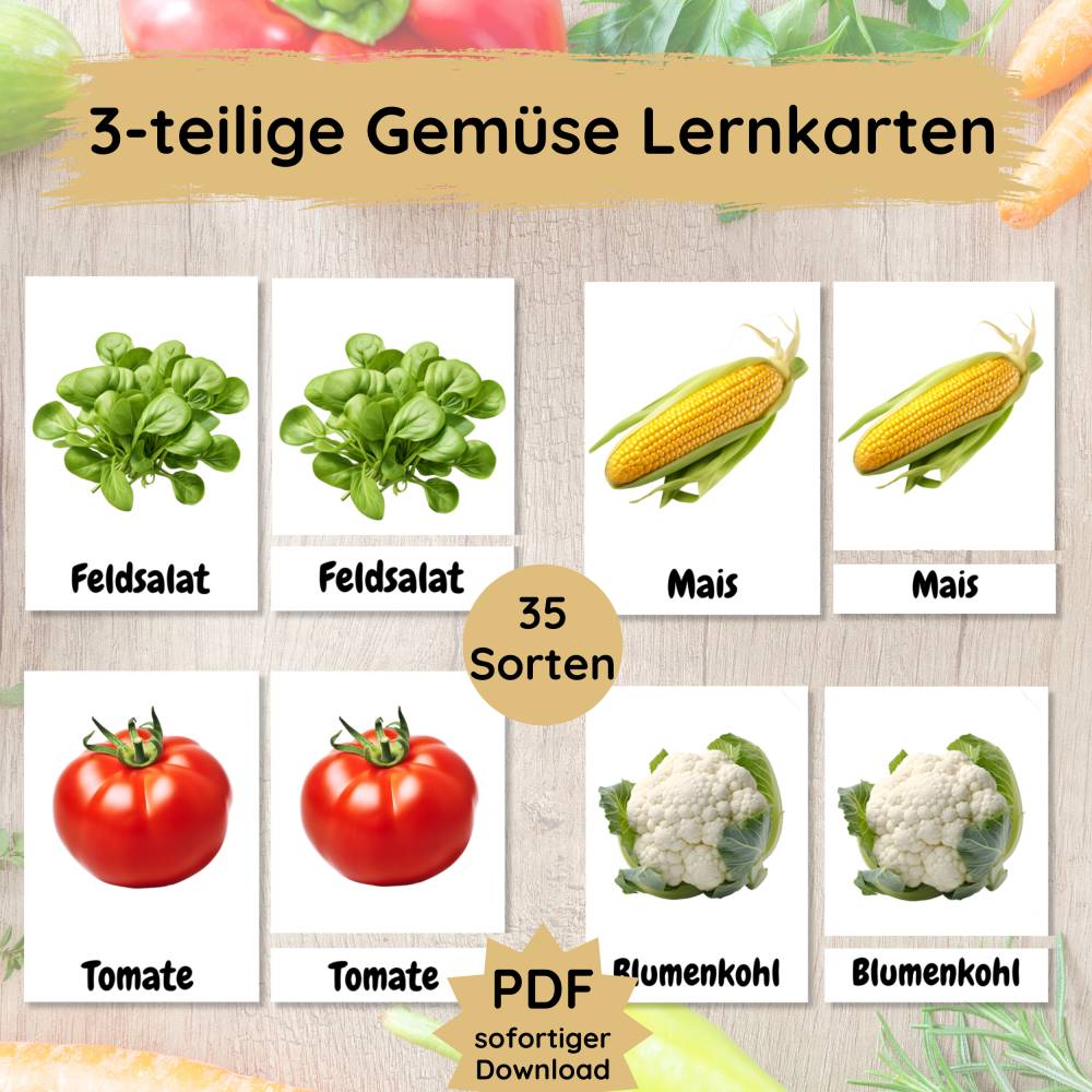 35 Gemüse Lernkarten für Kinder, dreiteilige Foto Bildkarten Gemüsesorten zum Lernen und Lesen üben Bild 1