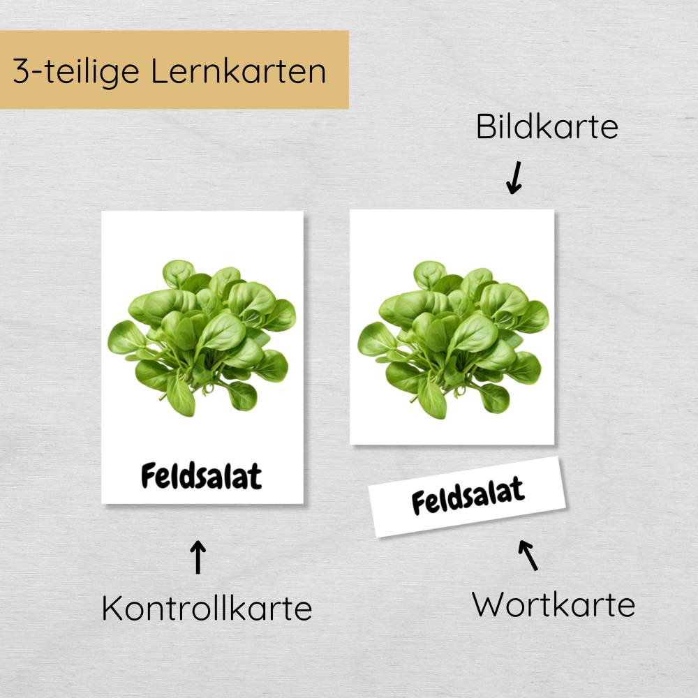 35 Gemüse Lernkarten für Kinder, dreiteilige Foto Bildkarten Gemüsesorten zum Lernen und Lesen üben Bild 3