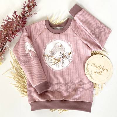Raglan Pulli Sweater altrosa Vogel Mädchen Größe 110
