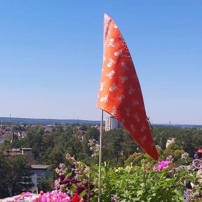 Piratenfahne orange fürs Fahrrad, Wimpel Pirat, Fahrradwimpel,Fähnchen für Dreirad, Kinderwagen Fahne, Piraten