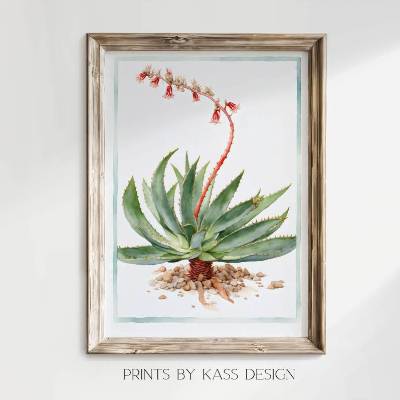 Illustration Aloe Vera, digitaler Kunstdruck
