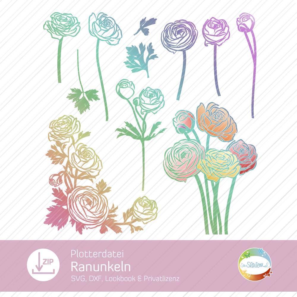 Plotterdatei Ranunkeln, SVG Blumen Ranunkel, Blüte, als Ein- und Mehrfarbenplott, mit Eckmotiv, Design von senSEASONal Bild 1