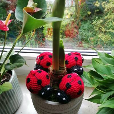 Marienkäfer gehäkelt als Geschenk für Geburtstage und Co, geeignet als Kuscheltier, Spielzeug, Talisman und Anhänger
