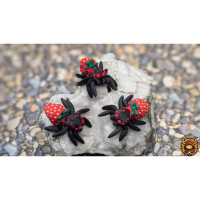 Kleine Erdbeerspinne zum Anbeißen – Bewegliche Gliedmaßen, Ideale Dekoration oder Geschenkidee!