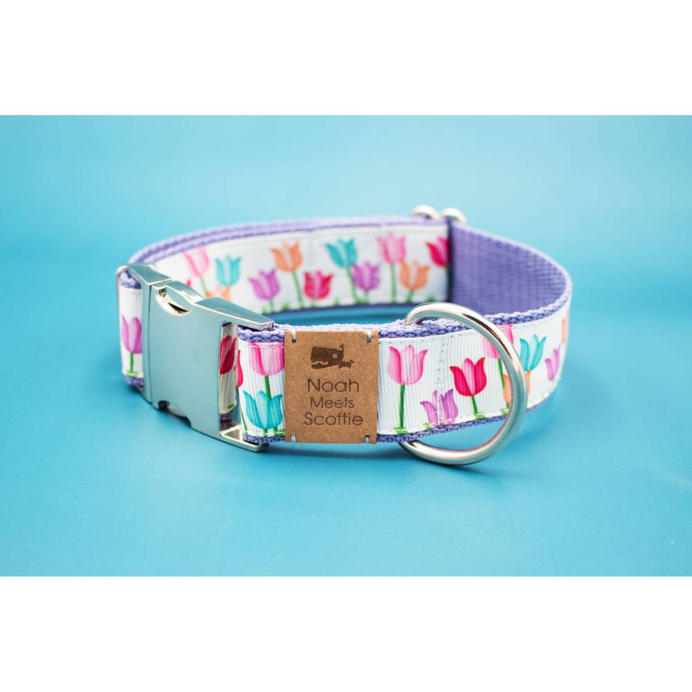 em keramik halsband erfahrungen EM-Keramik Hundehalsband “Violett Orchide & Pale Lavendel” –  WunschKnotenAtelier