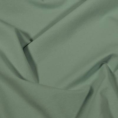 Jersey Baumwolljersey Stoff schattengrün - altmint hell - Uni - Öko-Tex Standard 100