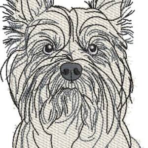 Bild 8