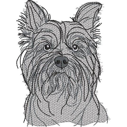 Stickdatei Hund Yorkshire Terrier, Biewer, West Highland Terrier – 10x10 & 15x15 Scribble Art Set Bild 9