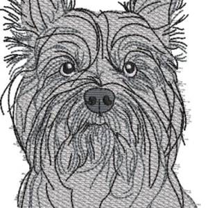 Bild 9