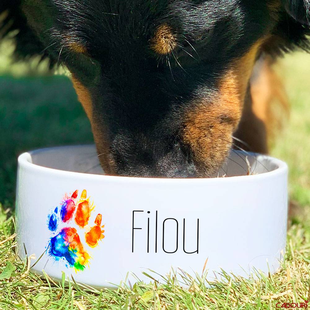 softbrocken hundefutter soft brocken Trockenfutter | mera main image 0