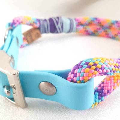 Fröhlich-buntes Tauhalsband mit passendem Biothaneadapter, für kleine Hunde