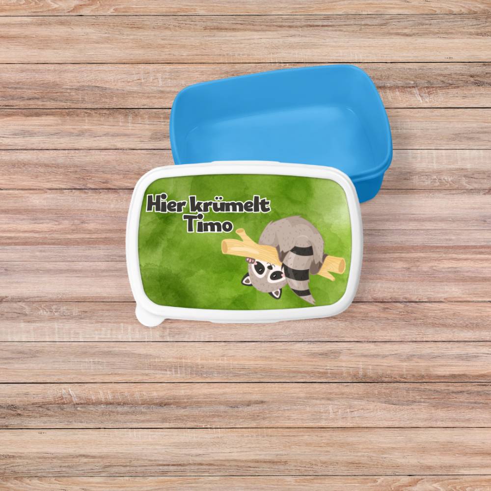 Brotdosen für Kinder personalisiert, Luchbox Kinder, Geschenk zur Einschulung, Kita, Schule, Brotdose für Jungen und Mäd