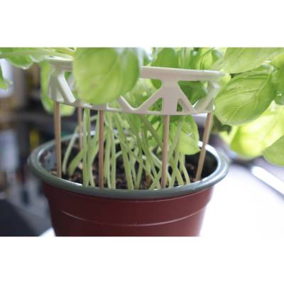 Pflanzenhalter, plant holder, Design Pflanzenhalter individualisierbar