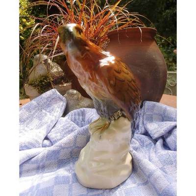 Falke Greifvogel Cortendorf Vogel Porzellanvogel