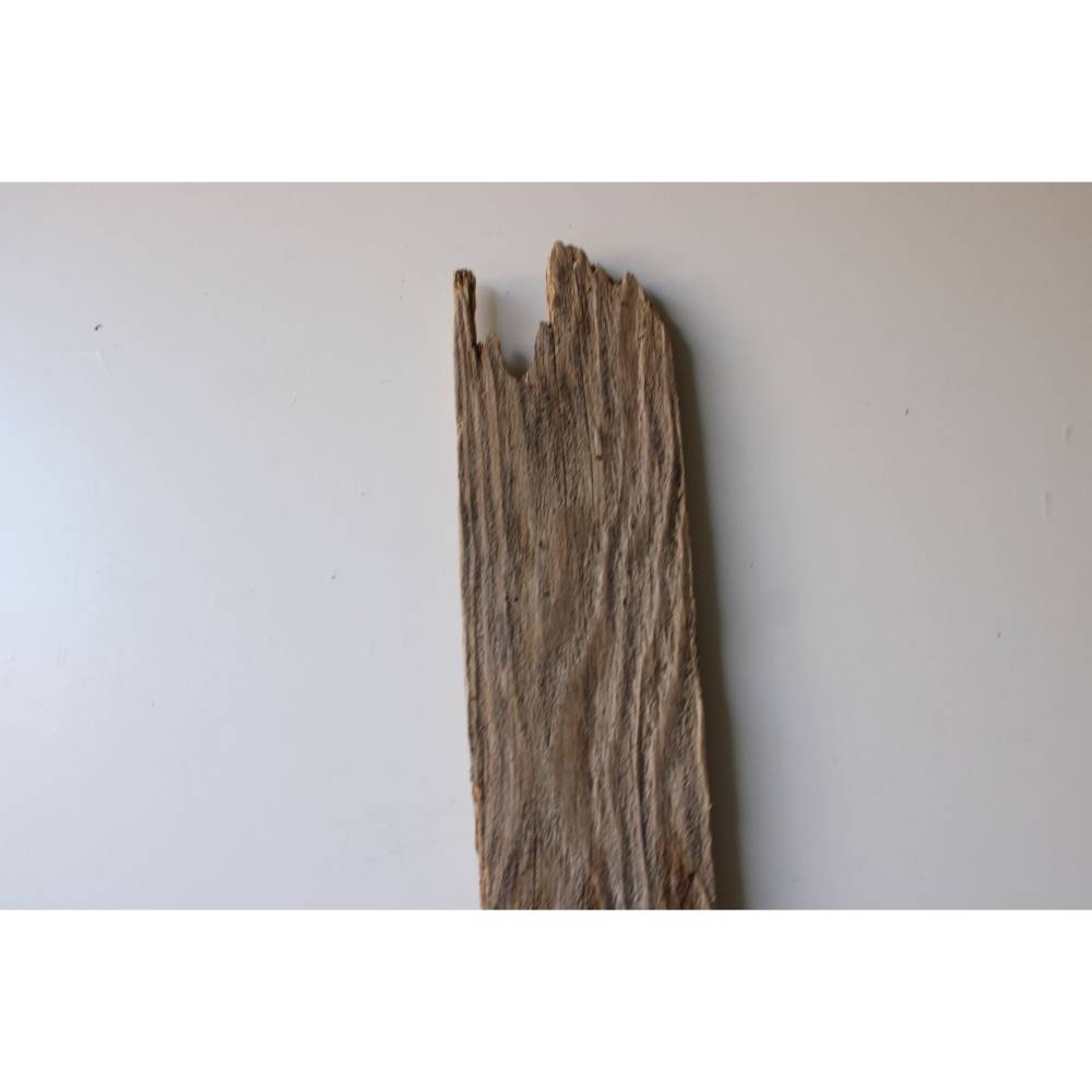 Treibholz Schwemmholz Driftwood 1 XXL Brett Dekoration Garten Regal Garderobe Material 105 cm