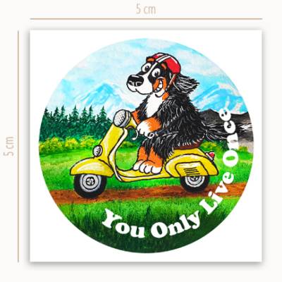 Aufkleber "YOLO" in 12er Set