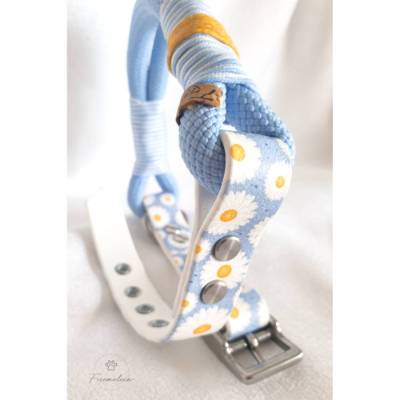 Tauhalsband für kleine und mittelgroße Hunde