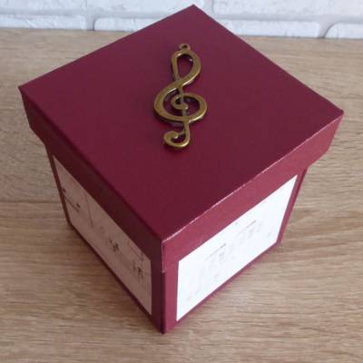 Geldgeschenkverpackung - Streichinstrument/Klassikkonzert