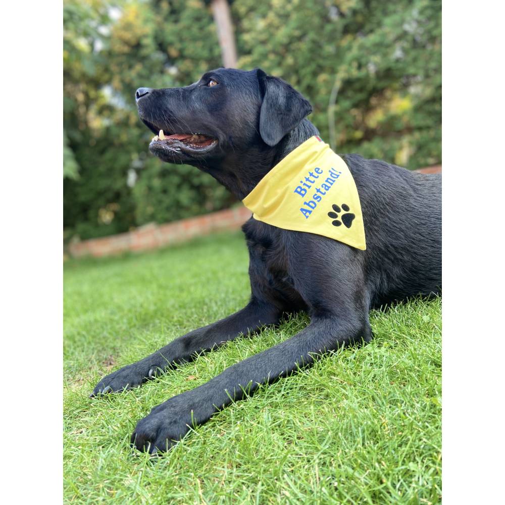 hundefutter mit soe Hundefutter Brckchen Huhn in Soe