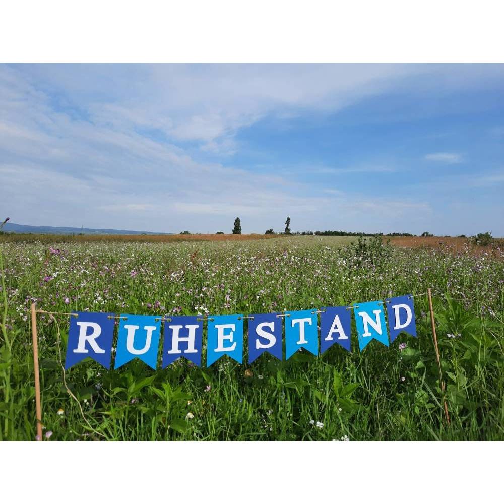 Girlande zum Ruhestand / Rente / Auf Wunsch personalisiert mit Wunschtext / Abschied
