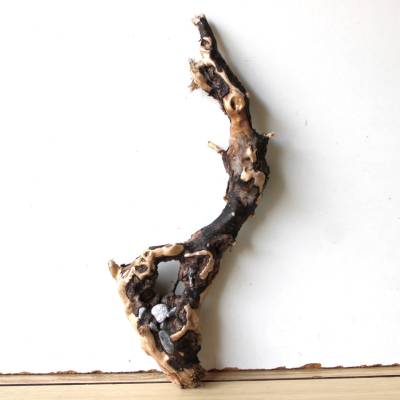 Treibholz Schwemmholz Driftwood  1   Wurzel   Dekoration  Garten  Lampe Terrarium  43  cm hoch
