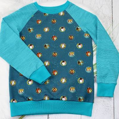 Pullover | Die Schule der magischen Tiere | Ida | Rabbat | Raglanshirt | Langarmshirt |  Raglan | petrol | aqua