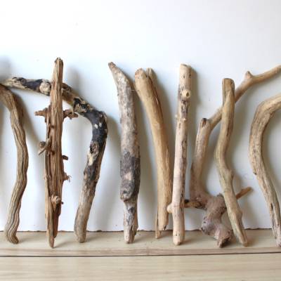 Treibholz Schwemmholz Driftwood  11   Äste  Dekoration  Garten  Lampe Terrarium Ostern    35  cm -  42 cm **23**