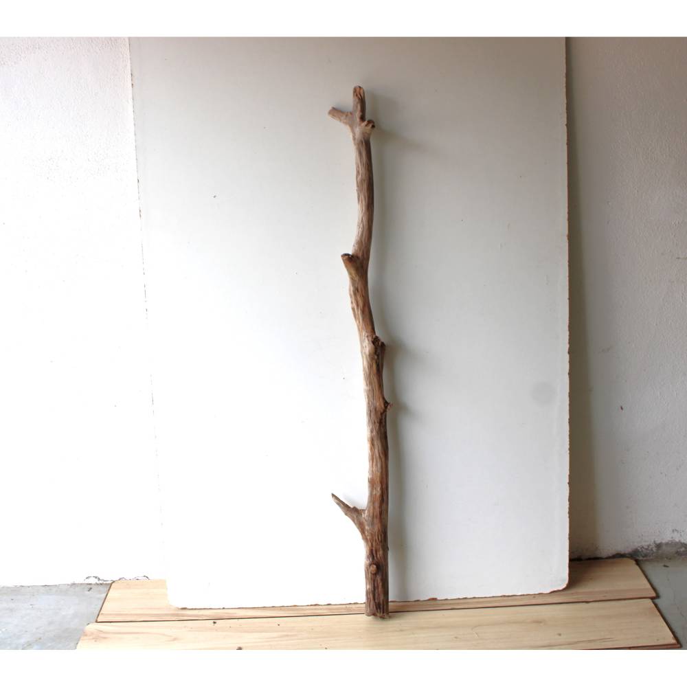 Treibholz Schwemmholz Driftwood 1 MEGA Ast Dekoration Garten Lampe Garderobe 125 cm