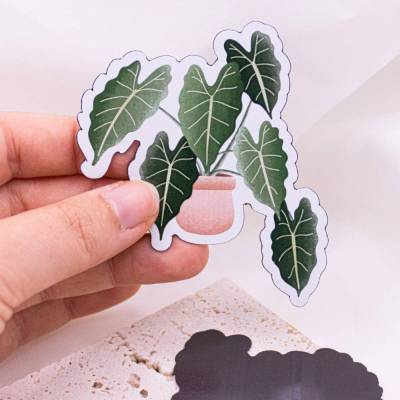 Magnet Pflanze Begonie Kühlschrankmagnet - Topfpflanze Monstera - Geschenk Wohnungseinweihung Magneten Zimmerpflanze