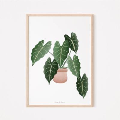 Poster Zimmerpflanze Begonie Boho Pflanze Botanischer Print Zweig - Wanddeko Plantlover - Illustration Blätter - Geschen