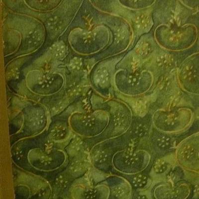 Das Urwaldschiff, ein Buch vom Amazonenstrom mit 8 farbigen Bildern,1927