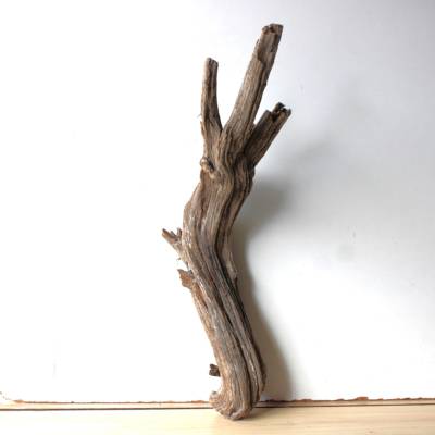 Treibholz Schwemmholz Driftwood  1 XL  Wurzel   Dekoration  Garten  Lampe Terrarium  65  cm lang