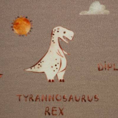 Lima, Jersey Baumwolle Dinosaurier, Schrift, schlamm Oeko-Tex Standard 100(18,-€)