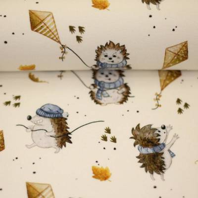 Jersey Hello Autumn by Sabine Marschall  Igel und Drache naturweiß Oeko-Tex Standard 100(1m/18,00)
