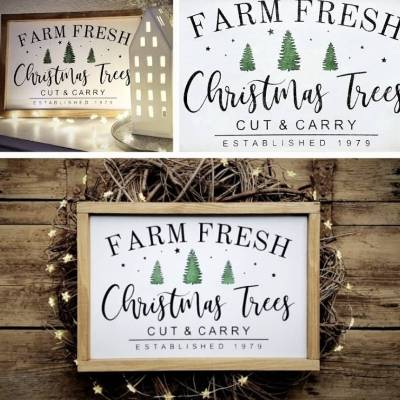 FARM FRESH CHRISTMAS TREES Holzschild für weihnachtliche Farmhouse-Deko