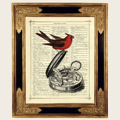 Roter Vogel Kunstdruck Kompass Instrument Nautik Poster - Vintage Steampunk Druck auf antiker viktorianischer Buchseite