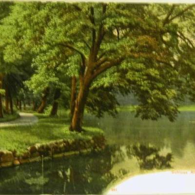 AK-Schloss Rheinsberg Park um 1910, 