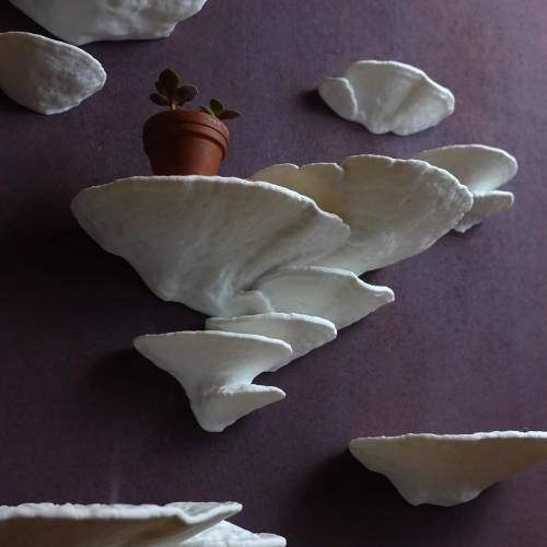 Wandregal Samtige Tramete – Pilzregal | Regal | Naturdesign für Pflanzen und Deko