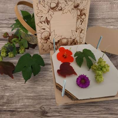 Große Blumenpresse, nicht nur für kleine Leute. Für Gräser, Blüten und Blätter. Herbarium Herbst basteln